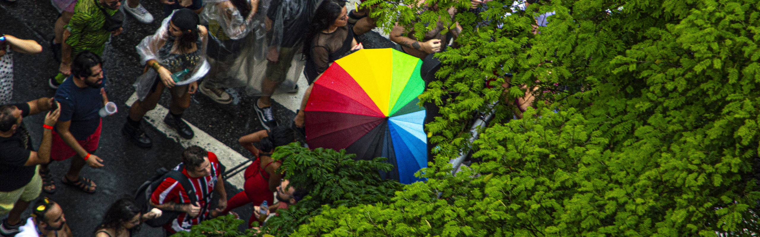 Guga - Art and Director